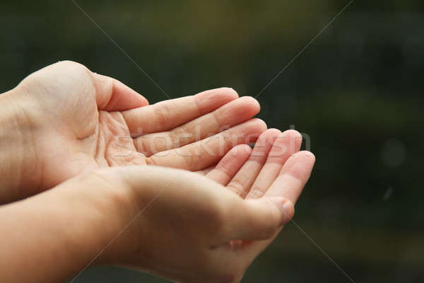Vár zsákmány nyitva kezek segítség pálmafák Stock fotó © aremafoto