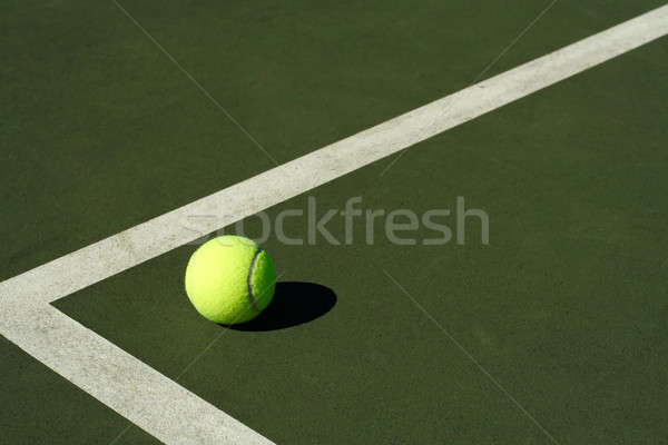теннисный мяч теннисный корт фитнес теннис команда мяча Сток-фото © aremafoto