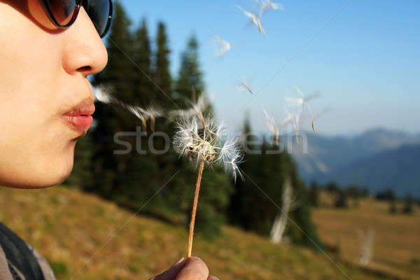 Make a wish Stock photo © aremafoto