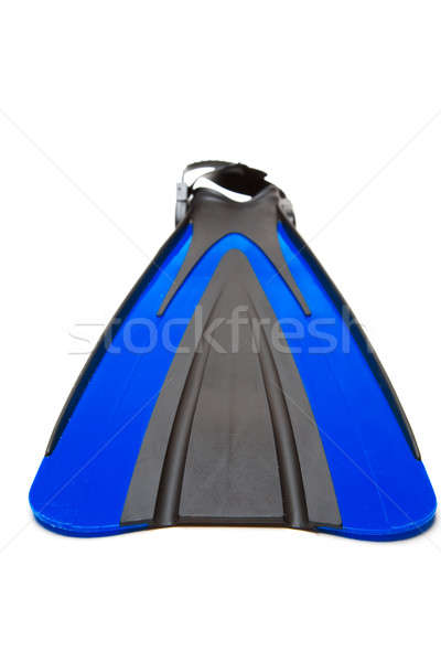 Diving equipment Stock photo © aremafoto