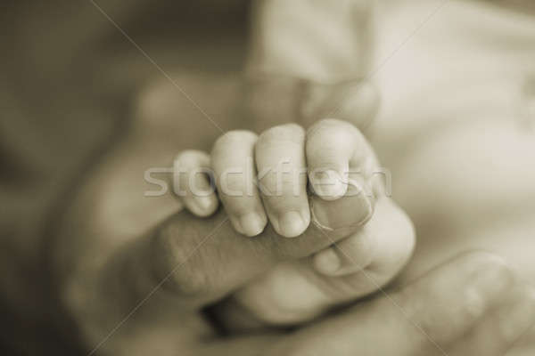 Mano bebé padre superficial Foto stock © aremafoto