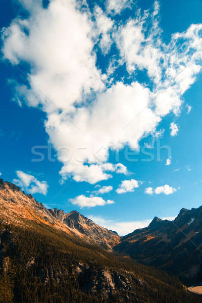 Cascades Mountain Stock photo © aremafoto