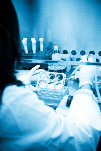 科學家 女 工作的 實驗室 無菌 環境 商業照片 © aremafoto