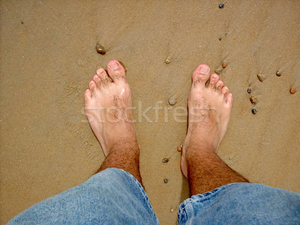 Relaxing at the Beach Stock photo © ArenaCreative