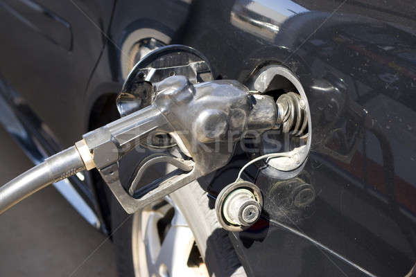 Fill It Up Stock photo © ArenaCreative