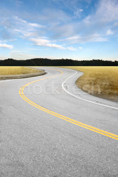 Curved Country Road Stock photo © ArenaCreative