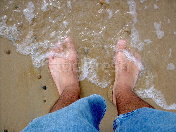 Haarig kalten wet Fuß Ozean Waschen Stock foto © ArenaCreative