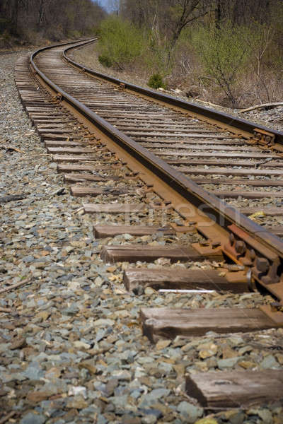 railroad track perspective Stock photo © ArenaCreative