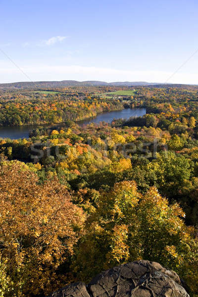 Peak Foliage in New England Stock photo © ArenaCreative