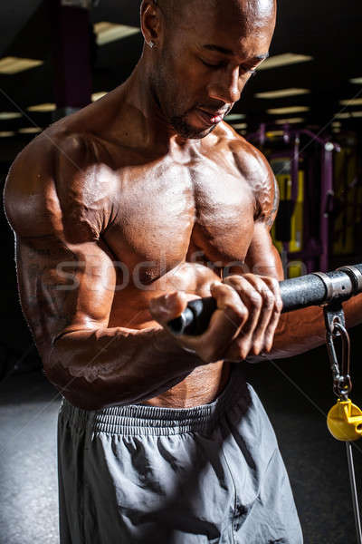 Gewicht weerstand opleiding training geschikt mannelijke Stockfoto © arenacreative