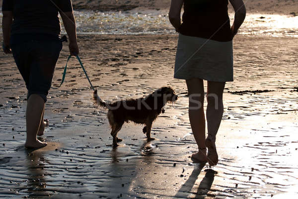 Foto stock: Mujeres · caminando · perro · atrás · retrato · dos · mujeres