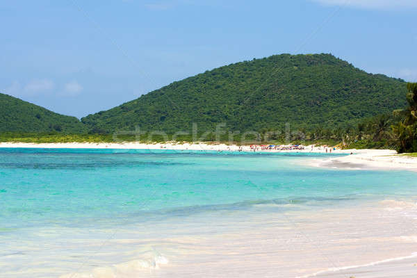Insel Flamenco Strand herrlich Stock foto © ArenaCreative