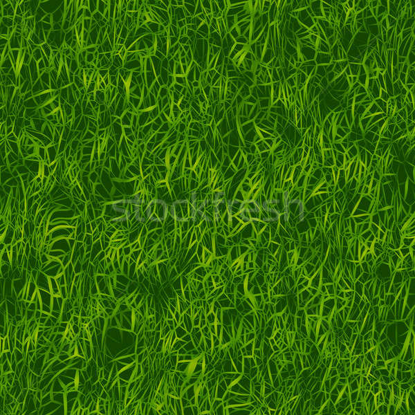 [[stock_photo]]: Herbe · verte · modèle · texture · tuiles · printemps · fond