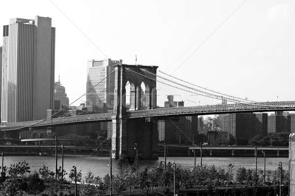 Brooklyn Bridge New York City Stock photo © ArenaCreative