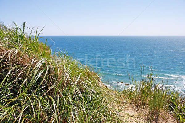 Block Island RI Mohegan Bluffs Stock photo © arenacreative