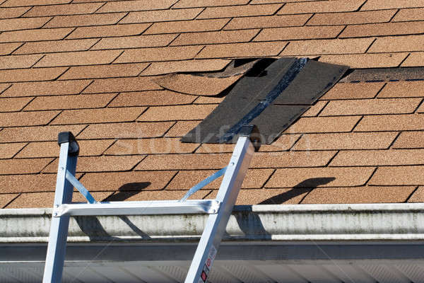Uszkodzony dachu naprawy sekcja Zdjęcia stock © ArenaCreative