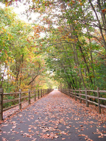 Walking Path Stock photo © ArenaCreative