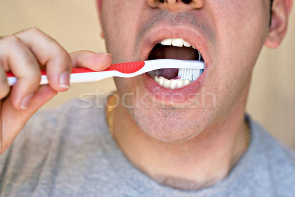 Man Brushing His Teeth Stock photo © ArenaCreative