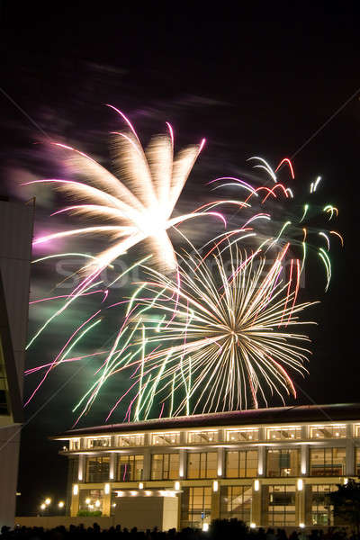 Beautiful Fireworks Stock photo © ArenaCreative