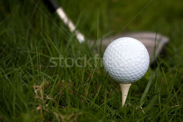 Golf Ball and Tee Stock photo © ArenaCreative