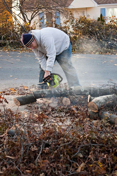 Mann Baum Gliedmaßen Kettensäge Schneiden Sturm Stock foto © ArenaCreative