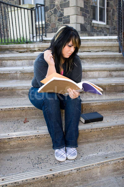 Student huiswerk jonge vrouw naar notebook vergadering Stockfoto © ArenaCreative