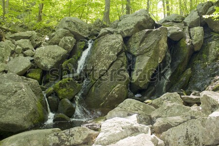 Belo cachoeira pequeno rochas mata Foto stock © ArenaCreative