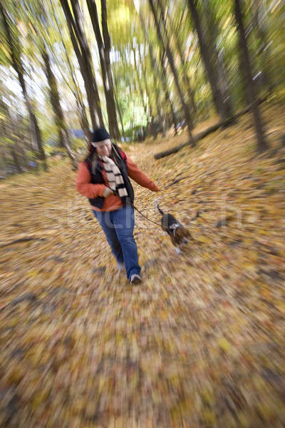 Wandern Fuß Hund Wald Zoom Stock foto © ArenaCreative