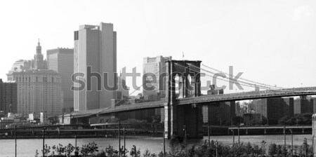 Brooklyn Bridge NYC Panorama Stock photo © ArenaCreative