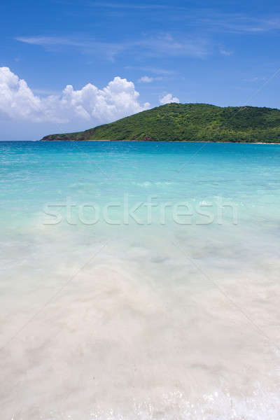 Beautiful Tropical Waters of Culebra Island Stock photo © ArenaCreative