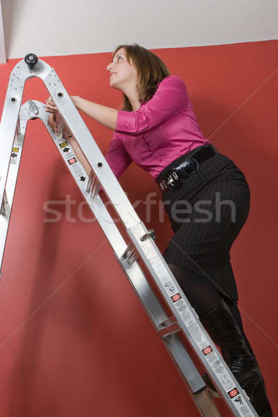 Klettern Corporate Leiter jungen business woman Aufgang Stock foto © ArenaCreative