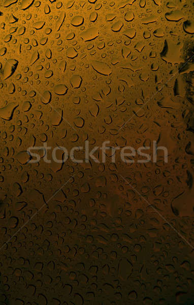 Birra macro condensazione vetro abstract Foto d'archivio © ArenaCreative