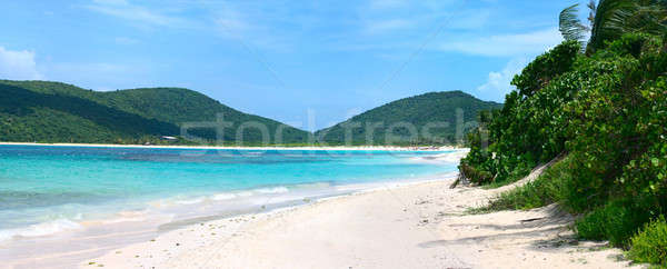 Stock foto: Flamenco · Strand · herrlich · Insel