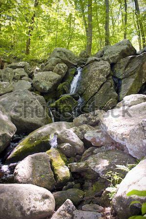 Peu cascade belle bois eau printemps [[stock_photo]] © ArenaCreative