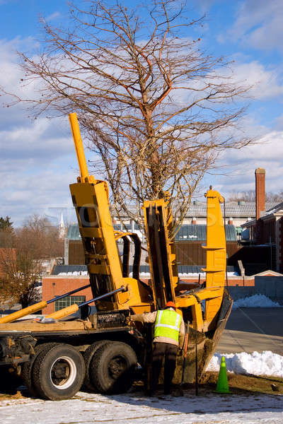 árbol pieza pesado deber maquinaria árboles Foto stock © ArenaCreative
