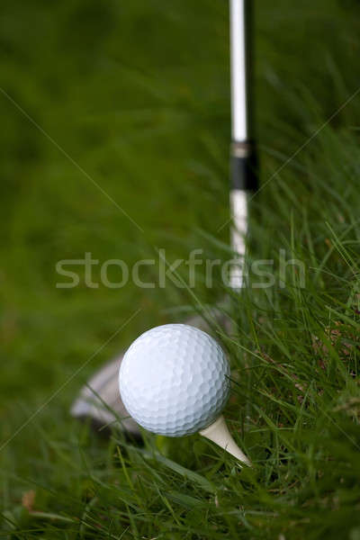 Golf Ball and Tee Stock photo © ArenaCreative
