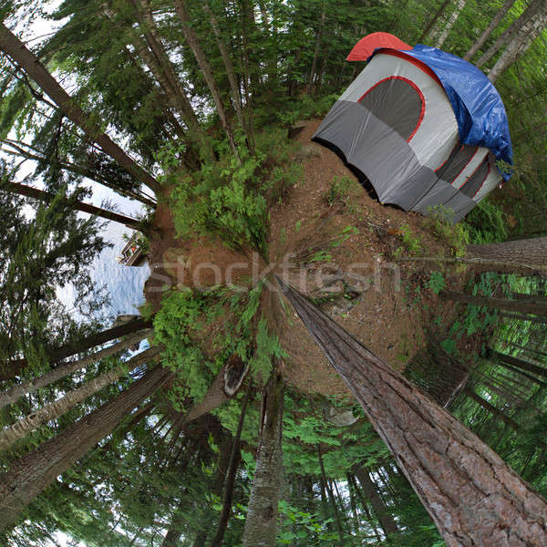Forest Tent Camping Stock photo © ArenaCreative