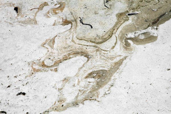 Toxic Oil Spill Washup Stock photo © arenacreative