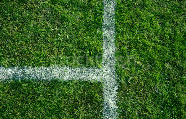 Stock photo: file lines