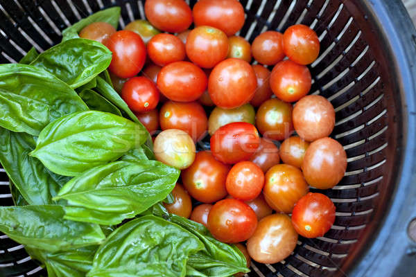 Vine Ripened Grape Tomatoes and Italian Basil Stock photo © ArenaCreative