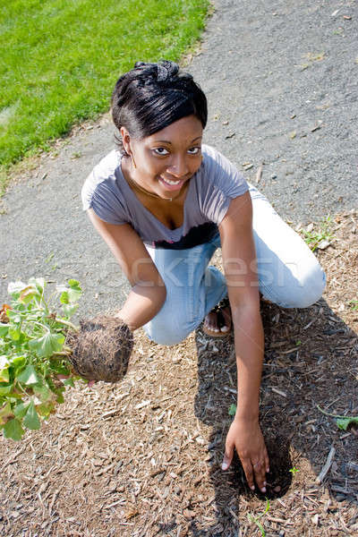 Woman Planting Flowers Stock photo © ArenaCreative