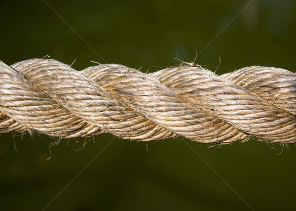 Rope Macro Stock photo © ArenaCreative