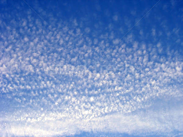 Whispy Clouds Stock photo © ArenaCreative