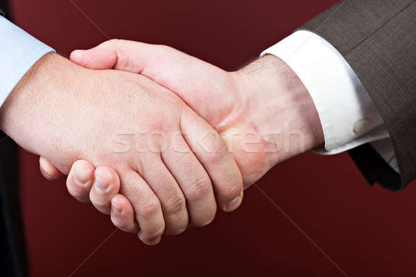 Działalności negocjacje ilustrowany handshake dwóch mężczyzn Zdjęcia stock © arenacreative