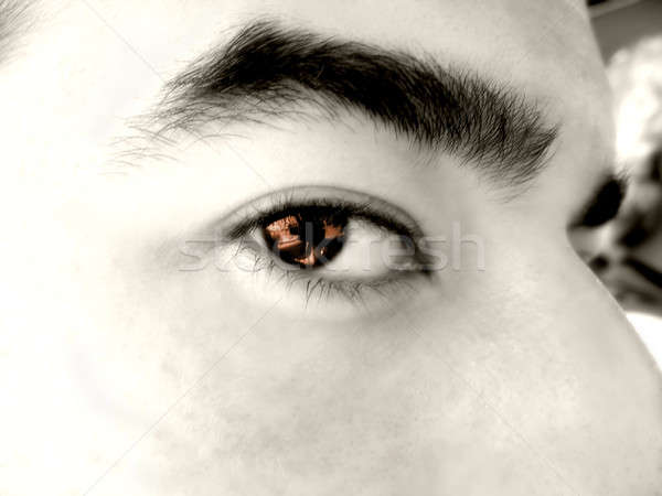 brown eye macro Stock photo © ArenaCreative
