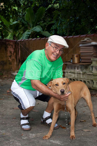 Senior Citizen Man and His Dog Stock photo © ArenaCreative