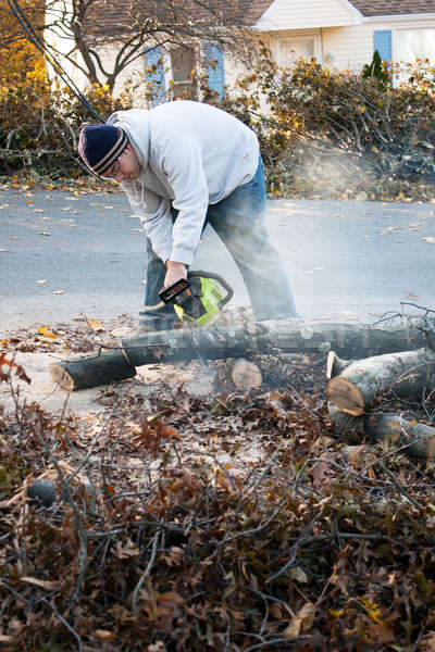 Człowiek drzewo piła łańcuchowa cięcie burzy Zdjęcia stock © arenacreative
