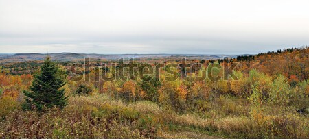 Vermont lomb panorámakép kilátás csúcs ősz Stock fotó © ArenaCreative