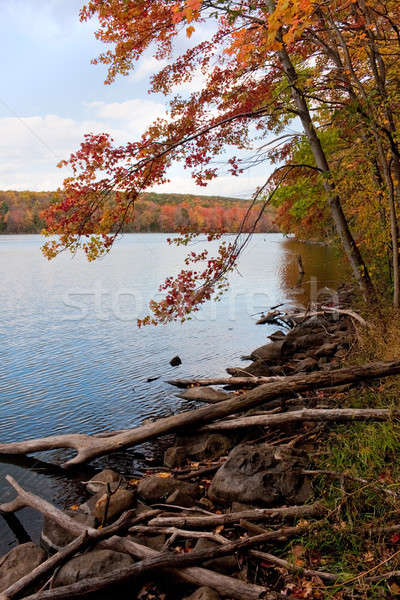 New England Fall Foliage Stock photo © ArenaCreative