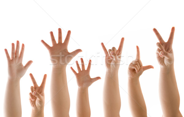 Hand and Finder Gestures On White Stock photo © ArenaCreative
